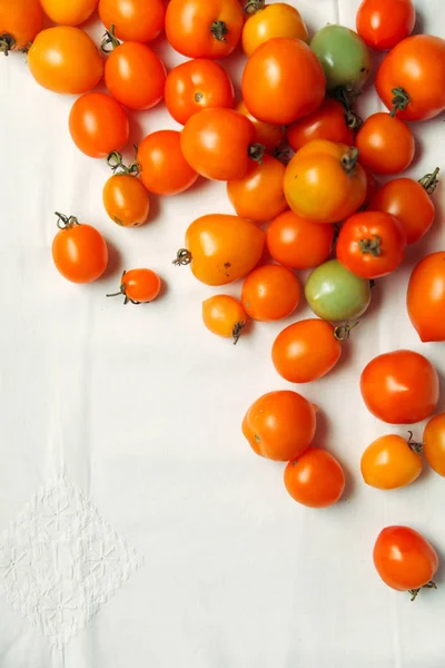 Tomates orgânicos frescos — Fotografia de Stock