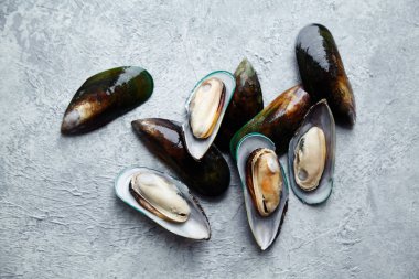 ham kivi midye dokulu hafif renkli arka plan üzerinde kümesi 