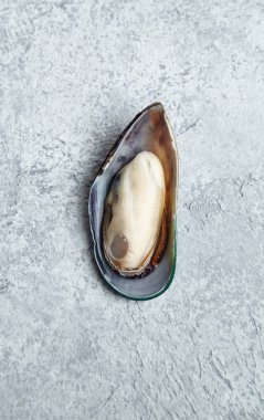 ham kivi midye dokulu hafif renkli arka plan üzerinde 