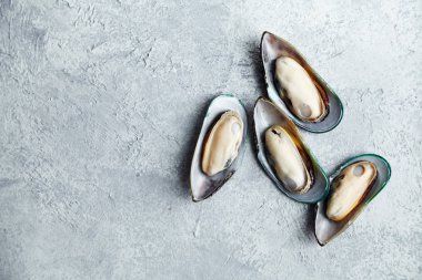 ham kivi midye dokulu hafif renkli arka plan üzerinde 