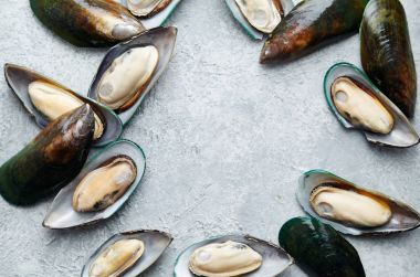 ham kivi midye dokulu hafif renkli arka plan üzerinde 