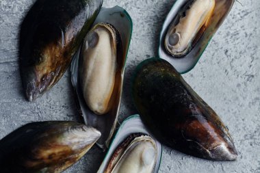 ham kivi midye dokulu hafif renkli arka plan üzerinde 