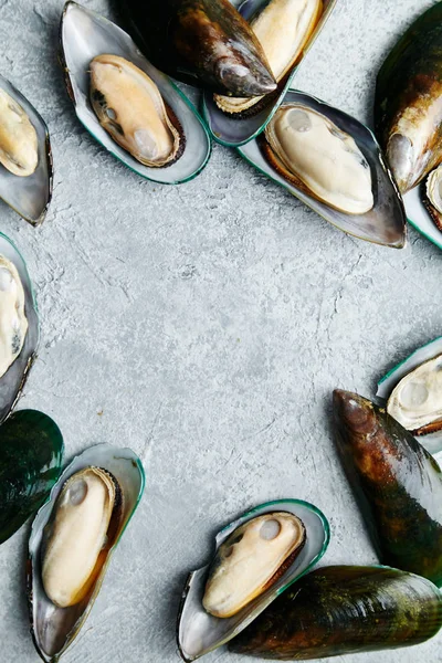 raw kiwi mussels on textured light colored background