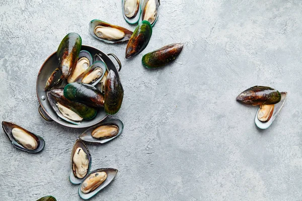 Rohe Kiwi Miesmuscheln Kupferteller Auf Strukturiertem Hellen Hintergrund — Stockfoto