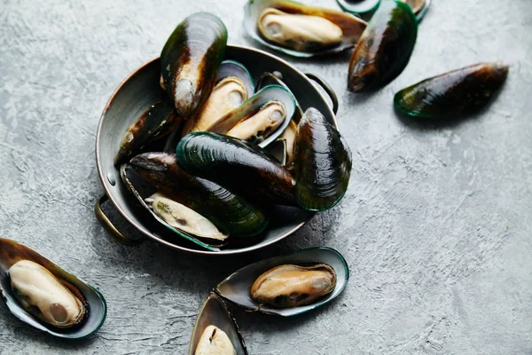 raw kiwi mussels in copper plate on textured light colored background