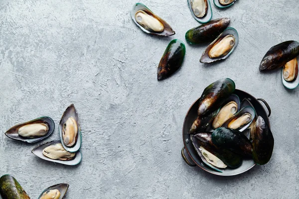 raw kiwi mussels in copper plate on textured light colored background