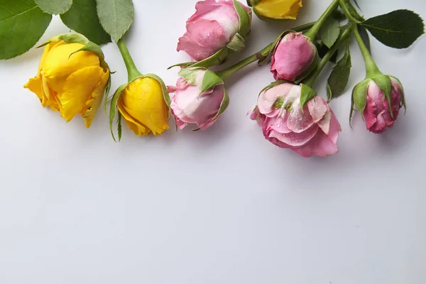 Elegante Maquete Feminino Com Pequenas Rosas Primavera Fundo Branco — Fotografia de Stock