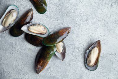 ham kivi midye dokulu hafif renkli arka plan üzerinde 