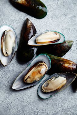 ham kivi midye dokulu hafif renkli arka plan üzerinde yığını 