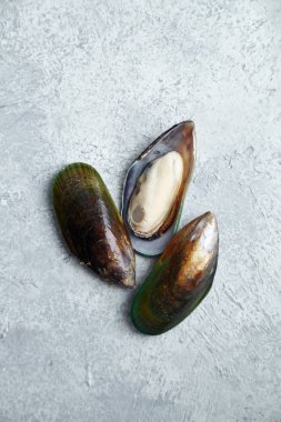 ham kivi midye dokulu hafif renkli arka plan üzerinde 