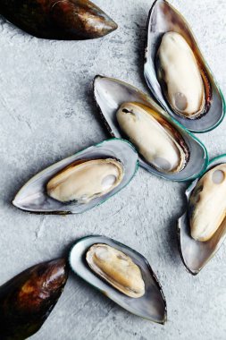 ham kivi midye dokulu hafif renkli arka plan üzerinde yığını 