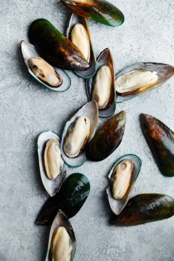 ham kivi midye dokulu hafif renkli arka plan üzerinde yığını 