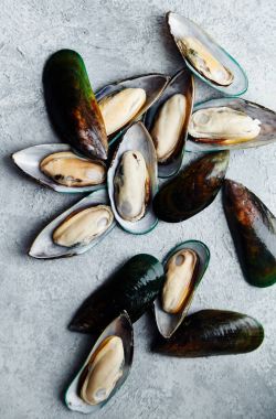 ham kivi midye dokulu hafif renkli arka plan üzerinde yığını 