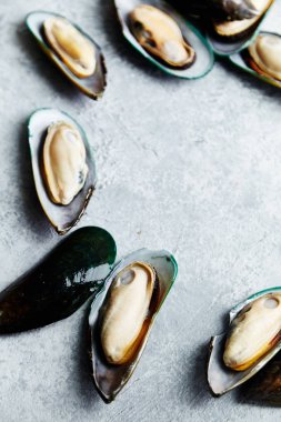 ham kivi midye dokulu hafif renkli arka plan üzerinde 