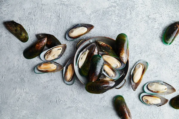 raw kiwi mussels in copper plate on textured light colored background