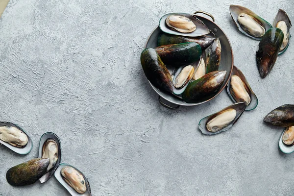 raw kiwi mussels in copper plate on textured light colored background