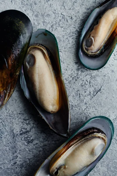 Raw Kiwi Mussels Textured Light Colored Background — Stock Photo, Image