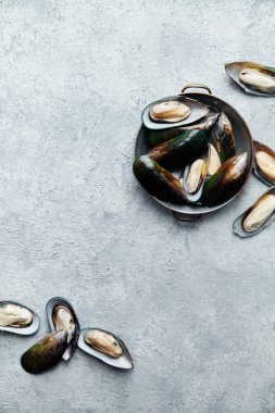 hafif dokulu arka plan bakır plaka ham kivi midye  