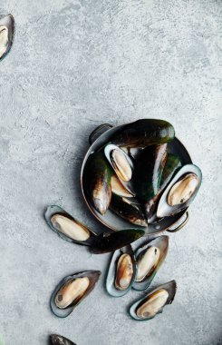 hafif dokulu arka plan bakır plaka ham kivi midye  