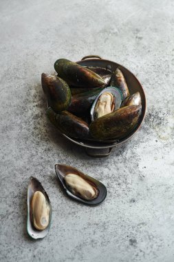 ham kivi midye Metalik arka plan üzerinde bakır kase