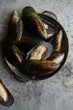 ham kivi midye Metalik arka plan üzerinde bakır kase