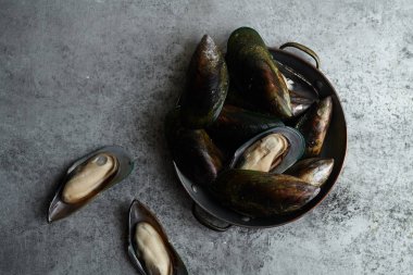 ham kivi midye Metalik arka plan üzerinde bakır kase