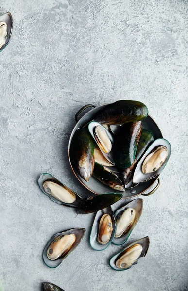 hafif dokulu arka plan bakır plaka ham kivi midye  