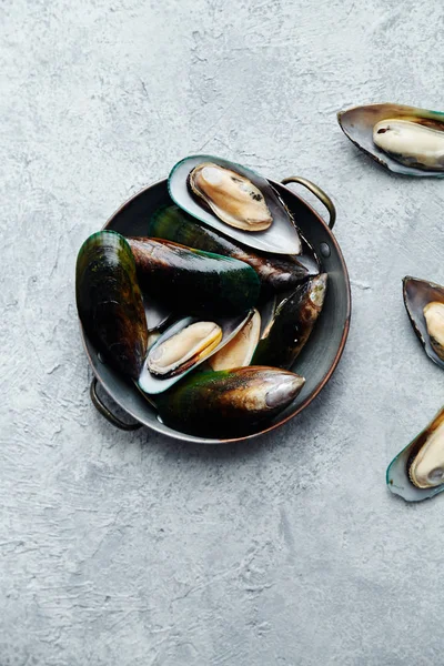 raw kiwi mussels in copper plate on textured light background