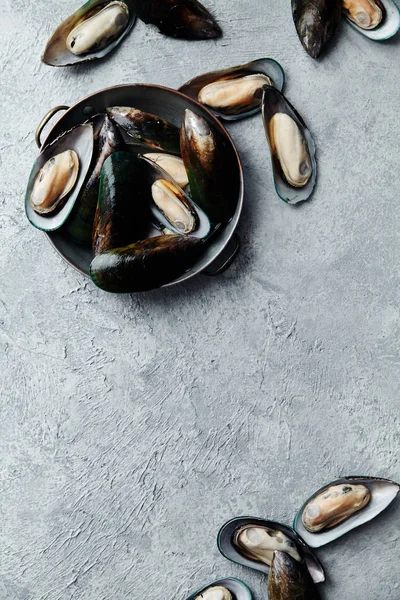 raw kiwi mussels in copper bowl on metallic background
