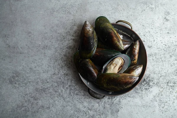 raw kiwi mussels in copper bowl on metallic background