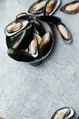 ham kivi midye Metalik arka plan üzerinde bakır kase