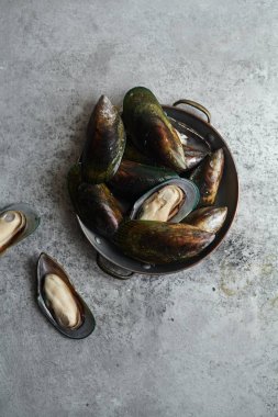 ham kivi midye Metalik arka plan üzerinde bakır kase