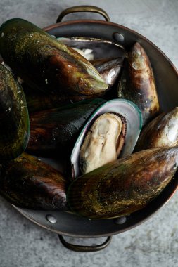 ham kivi midye Metalik arka plan üzerinde bakır kase