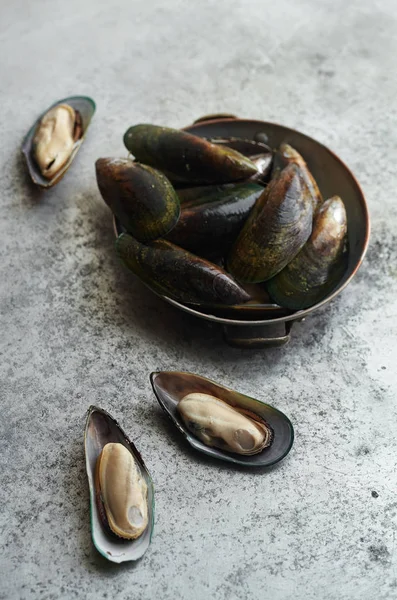raw kiwi mussels in copper bowl on metallic background