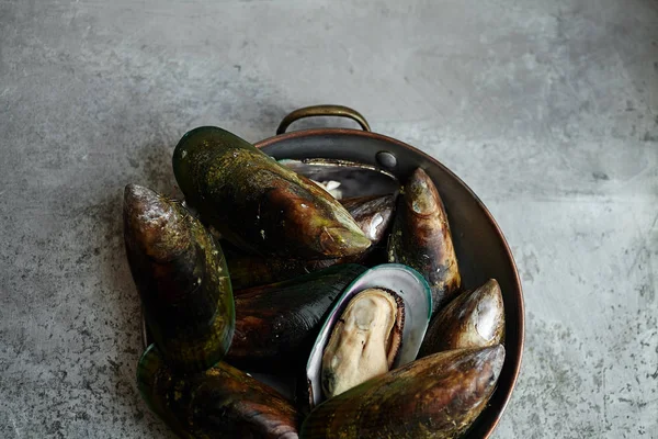 Raw Kiwi Mussels Copper Bowl Metallic Background — Stock Photo, Image