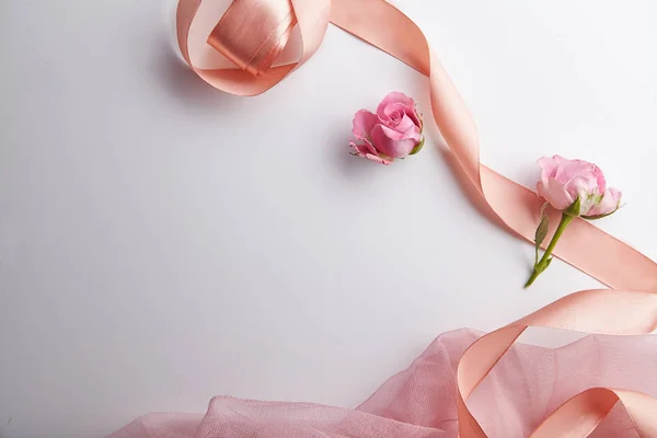 fresh shrub roses with transparent pink fabric and peach colored ribbon isolated on white background, spring concept