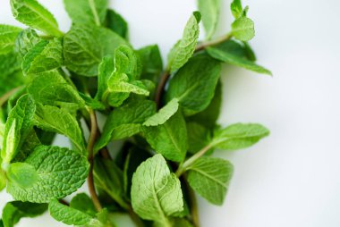 Taze nane yaprakları üzerinde izole beyaz arka plan, yakın çekim 