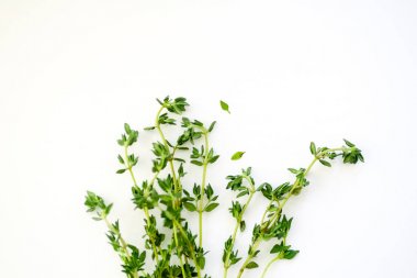 taze kekik dallar yeşil ile demet izole üzerinde beyaz arka plan, yakın çekim yaprak 
