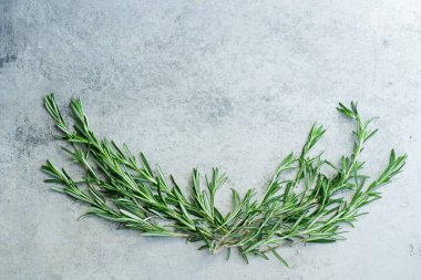 Biberiye dal Merkezi metin alanına sahip Metalik arka plan üzerinde düzenlenmiş
