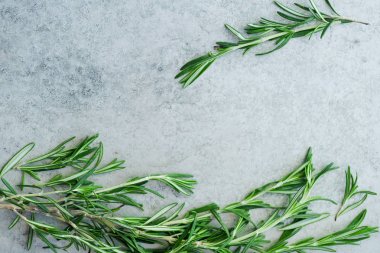 Biberiye dal Merkezi metin alanına sahip Metalik arka plan üzerinde düzenlenmiş