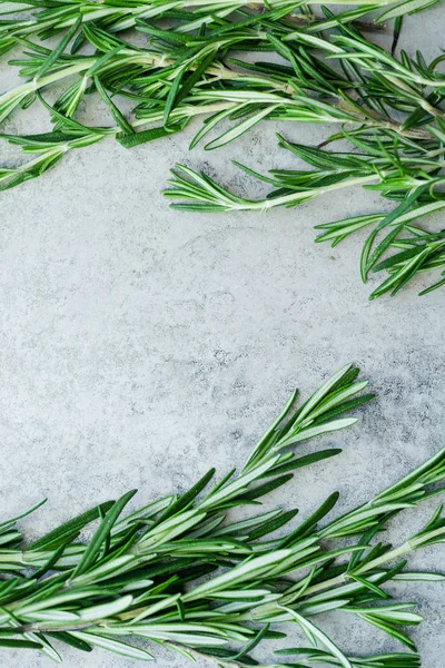 rosemary sprigs arranged on metallic background with text space at center