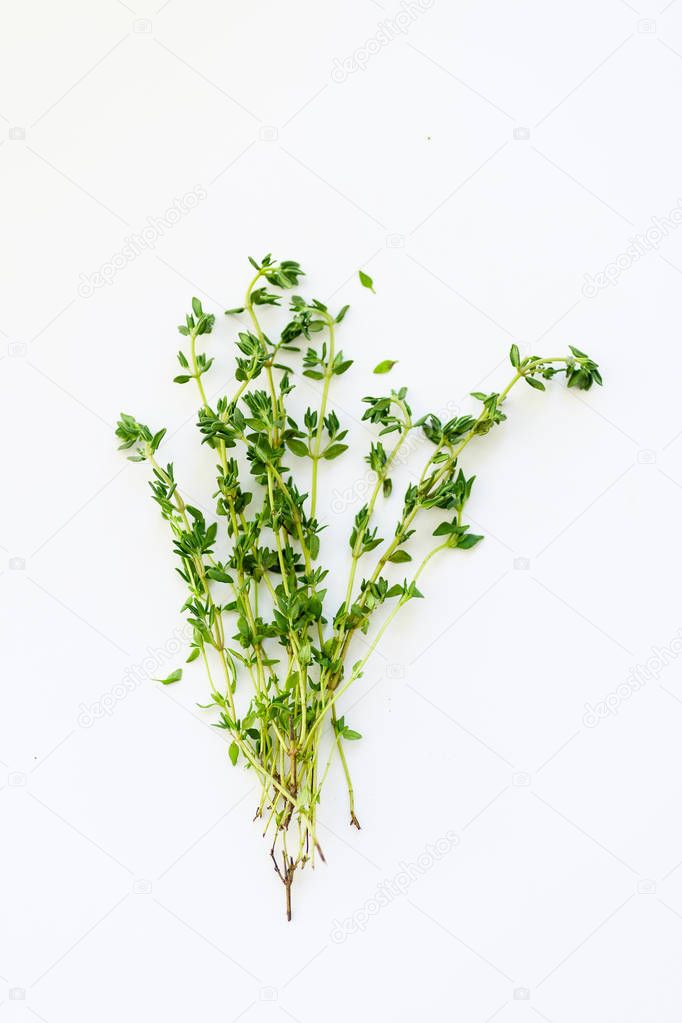 bunch of fresh thyme twigs with green leaves isolated on white background, close-up 