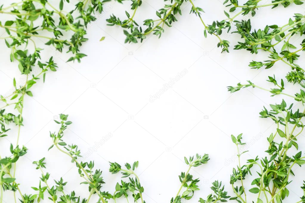 thyme leaves and twigs arranged in frame form isolated on white background