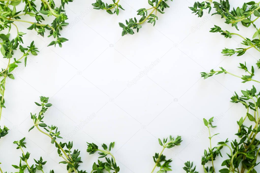 thyme leaves and twigs arranged in frame form isolated on white background
