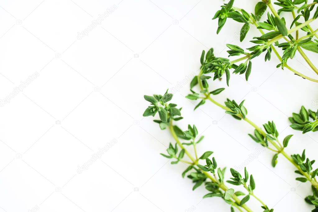 thyme leaves and twigs arranged on white background 