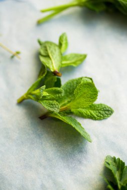 izole üzerinde beyaz arka plan, yakın çekim yeşil taze nane yaprakları 