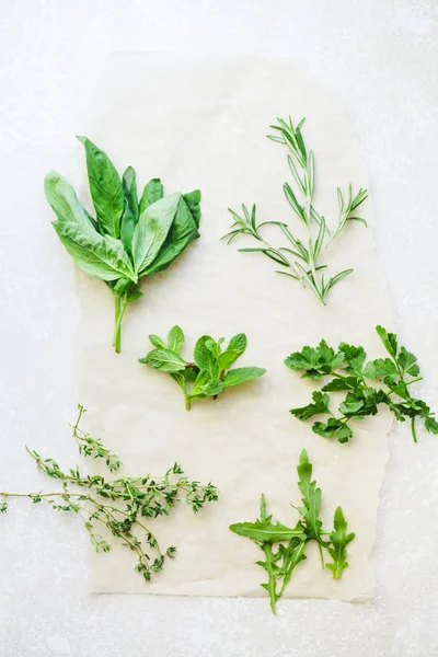 Colección Romero Tomillo Con Menta Rúcula Con Albahaca Perejil Hierbas — Foto de Stock