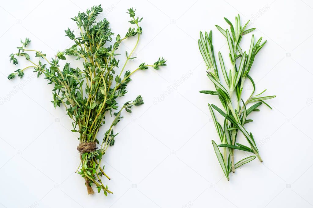 bunches of tied thyme and rosemary isolated on white background, close-up 