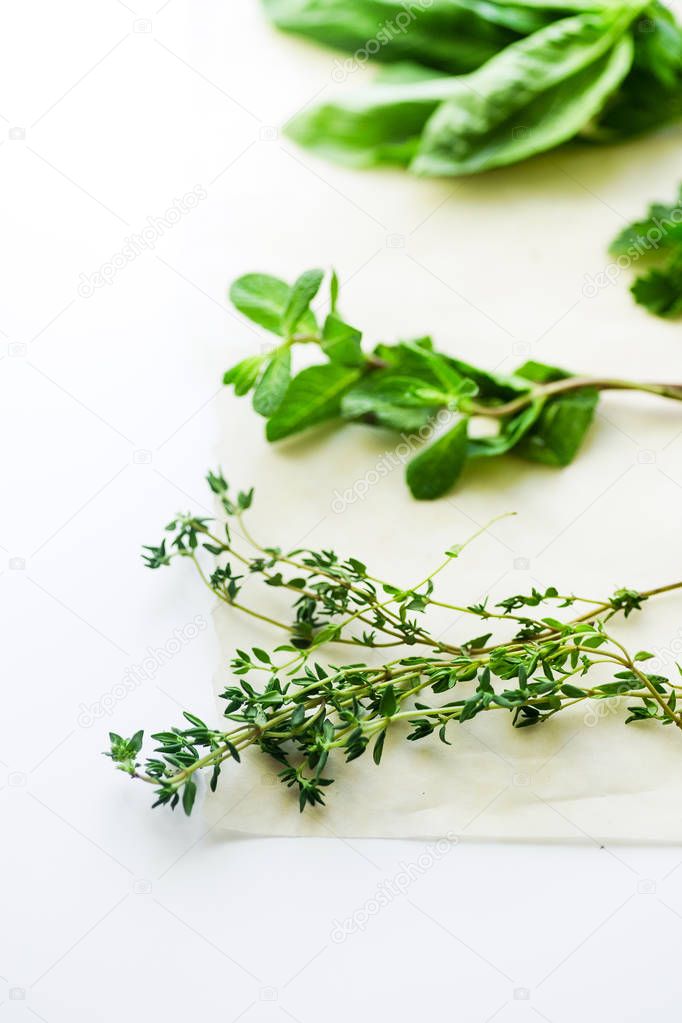 bunches of thyme and mint with basil herbs isolated on white background, close-up 