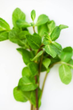 Demet taze nane beyaz zemin üzerine izole yakın çekim 